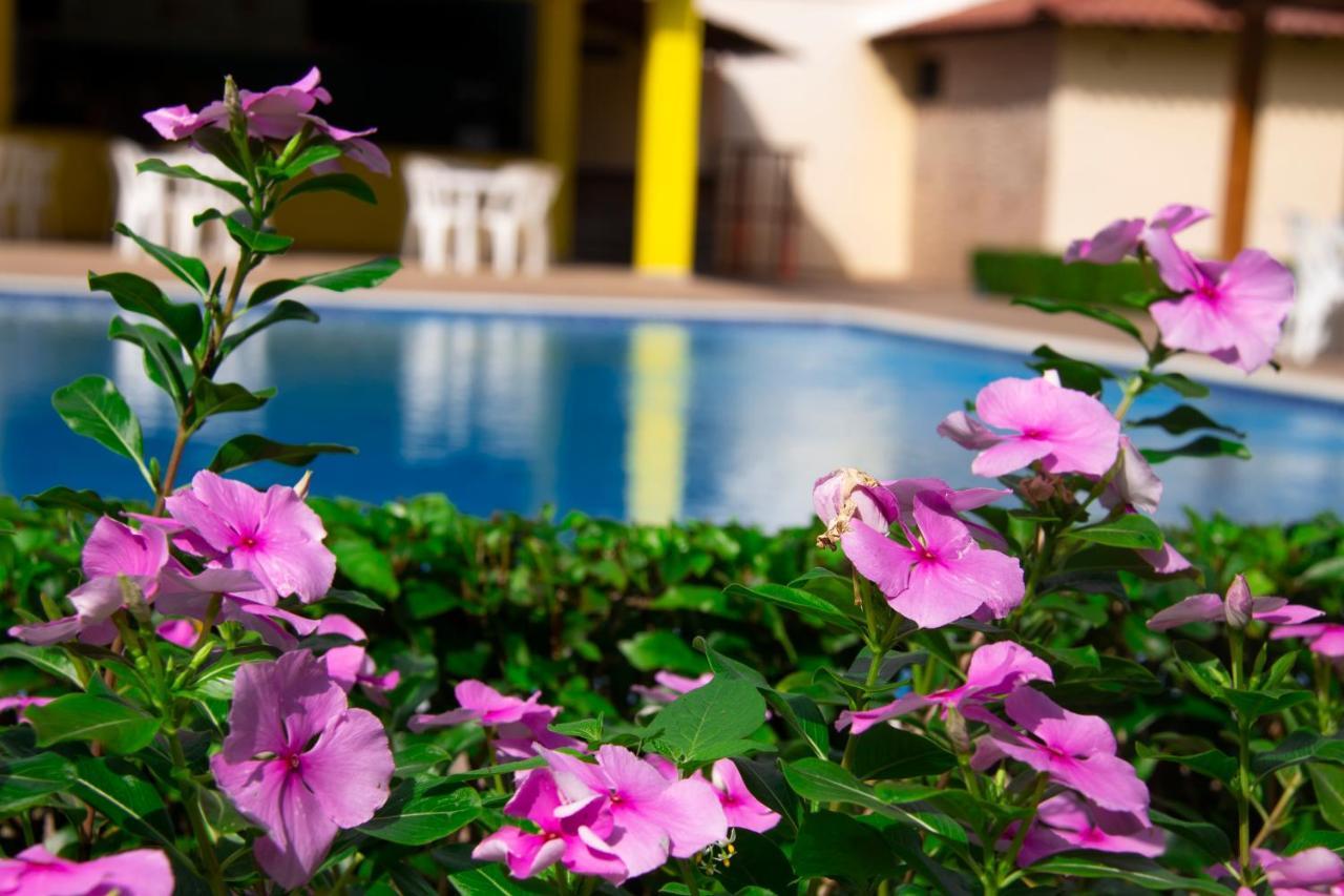 Deluxe Suites Guacamayos - Eco-Lodge & Swimming Pool Bonao Екстериор снимка